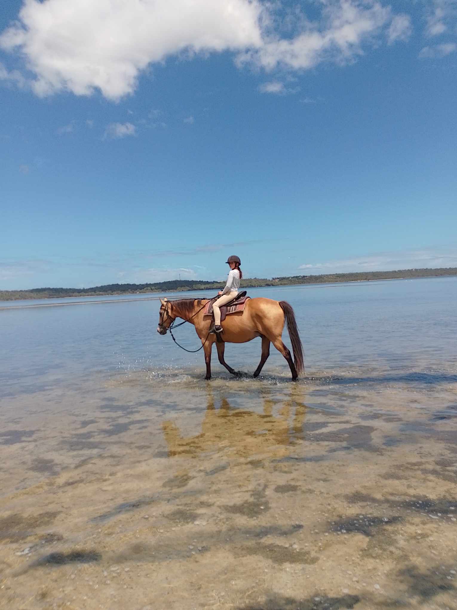 Horse rider on the beach at Herron Point