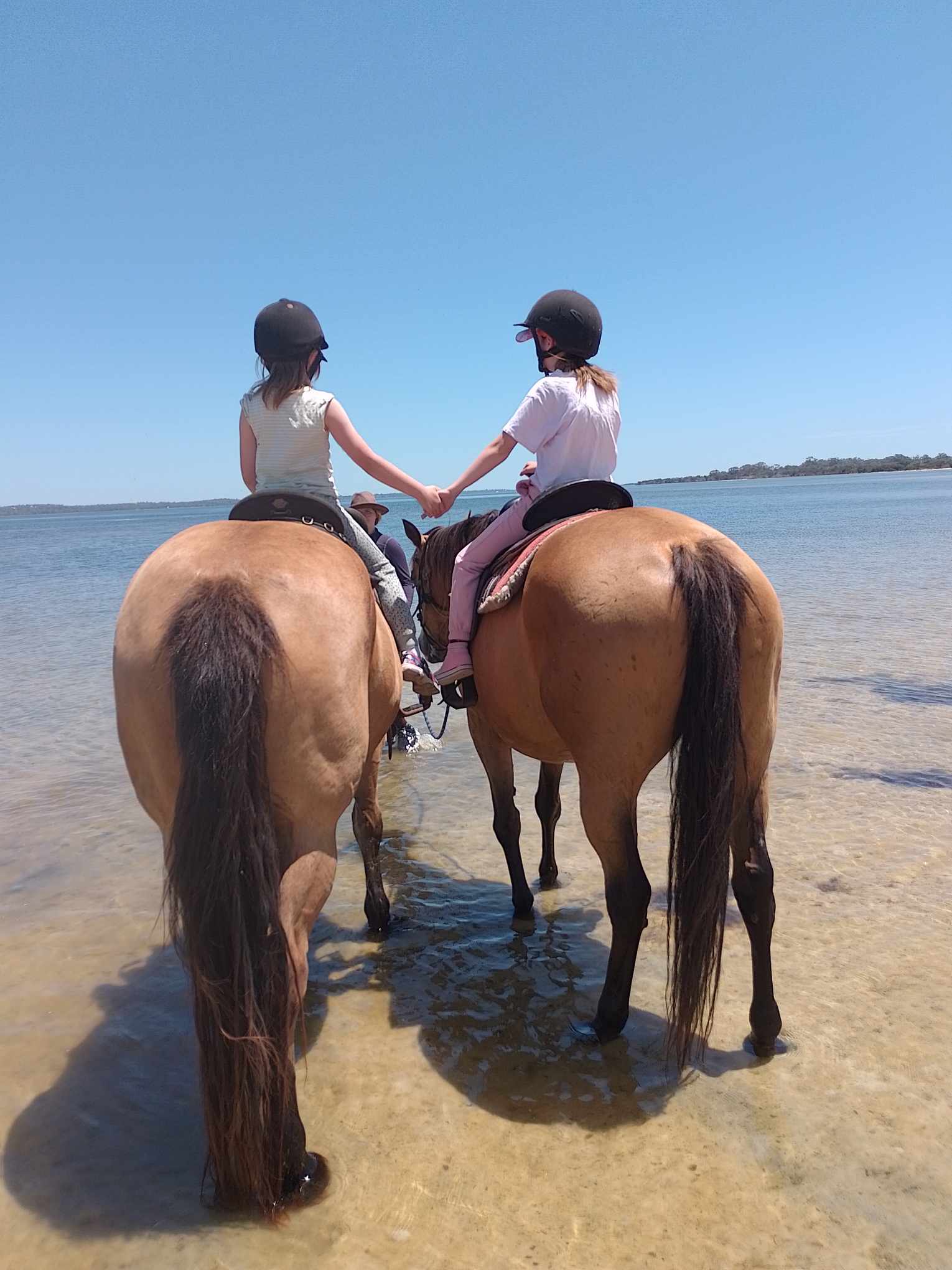 Sunset Horse Tours
