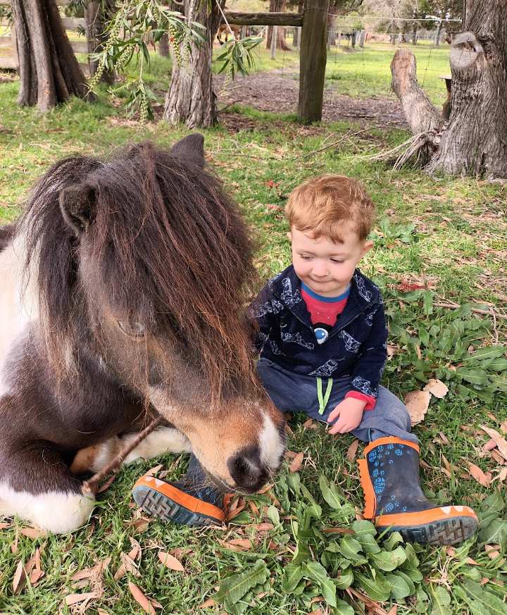 Kids birthday party horse riding