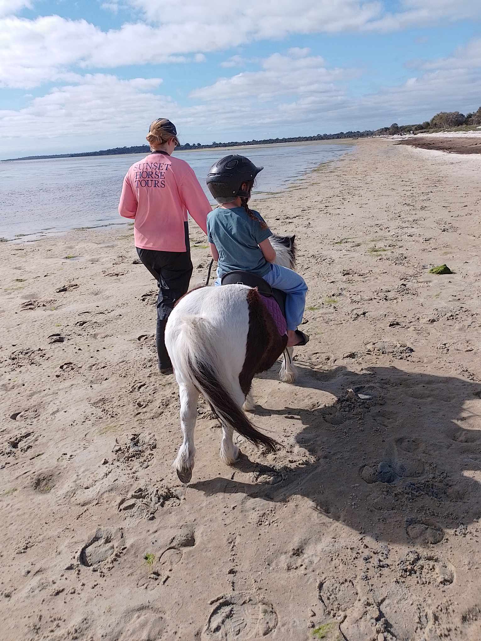 Horse riding lessons