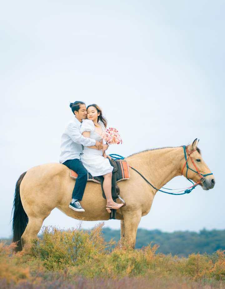 Romantic proposal horse ride