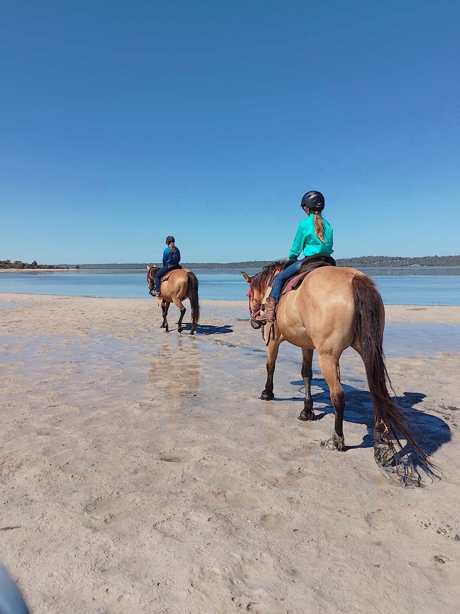 School holiday horse programs